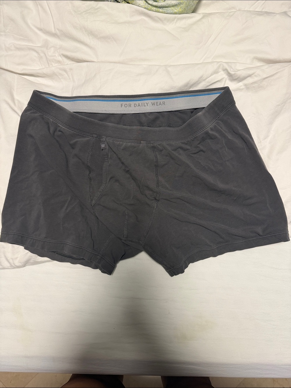 Silver Boxer Brief - Picture 2 of 4